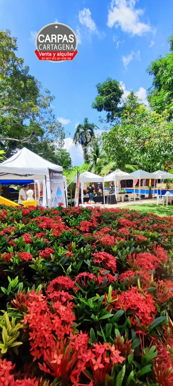 🎪 Fabricamos Carpas a la Medida  – Calidad y Estilo para tus&nbsp;Eventos